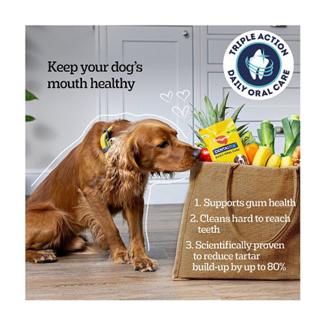 Pedigree Dentastix Daily Dental Chews Medium Dog Treat 5 Sticks 128g