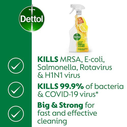 Dettol Citrus Anti-Bacterial Multi Purpose Cleaner Spray 1L