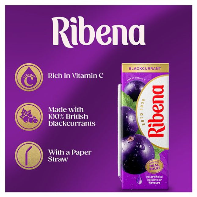 Ribena Blackcurrant 250ml