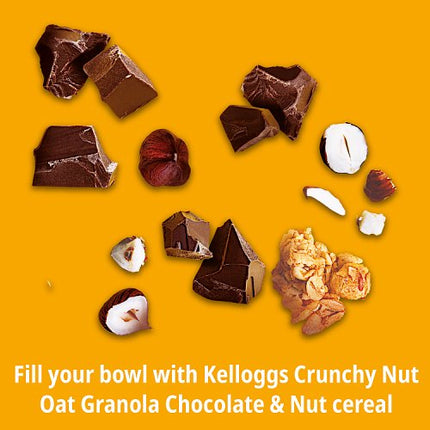 Kellogg's Crunchy Nut Hazlenut & Chocolate Breakfast Granola 380g