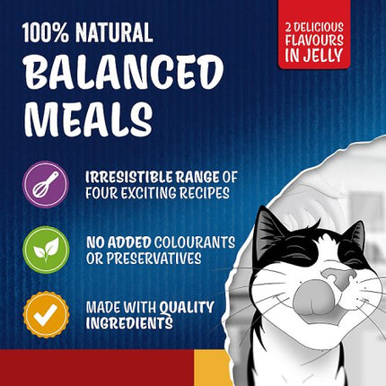 Felix Doubly Delicious Countryside Selection Wet Cat Food 12x85g £4.75