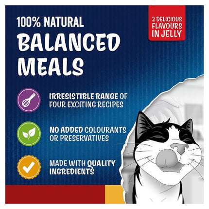 Felix Doubly Delicious Countryside Selection Wet Cat Food 12x85g £4.75