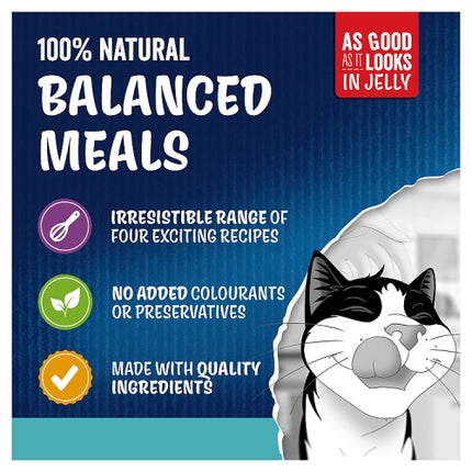 Felix As Good As it Looks Ocean Feasts Wet Cat Food 12x85g 4.75