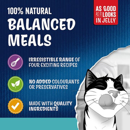 Felix As Good As it Looks Ocean Feasts Wet Cat Food 12x85g 4.75