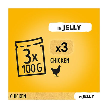 Pedigree Adult Dog Food Pouches Chicken in Jelly 3x100g