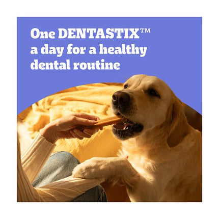 PEDIGREE DentaStix Daily Dental Chews Large Dog 4 Sticks