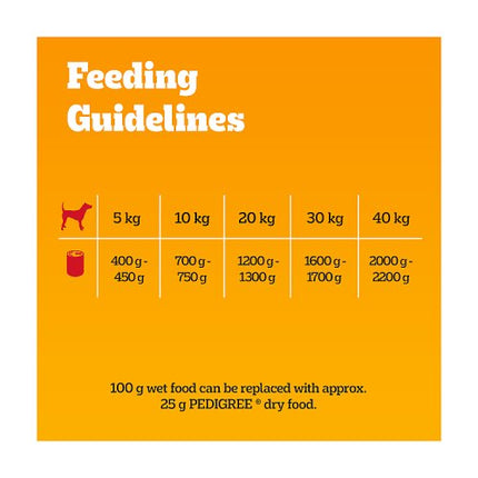 Pedigree Adult Dog Food Mixed Selection Chunks in Jelly 6x385g