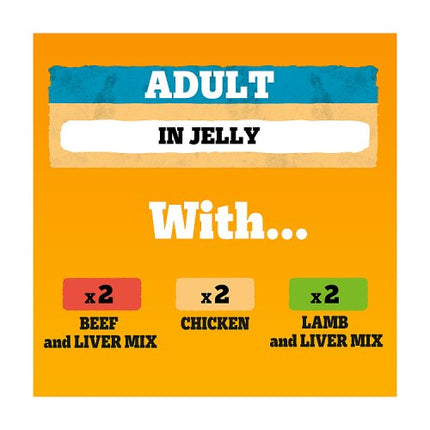 Pedigree Adult Dog Food Mixed Selection Chunks in Jelly 6x385g
