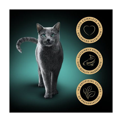 SHEBA Classics Cat Tray with Salmon in Terrine 85g