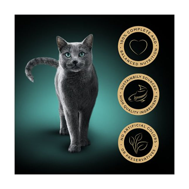 SHEBA Classics Cat Tray with Salmon in Terrine 85g