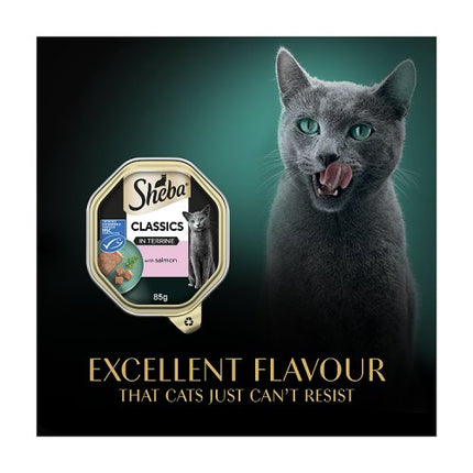 SHEBA Classics Cat Tray with Salmon in Terrine 85g