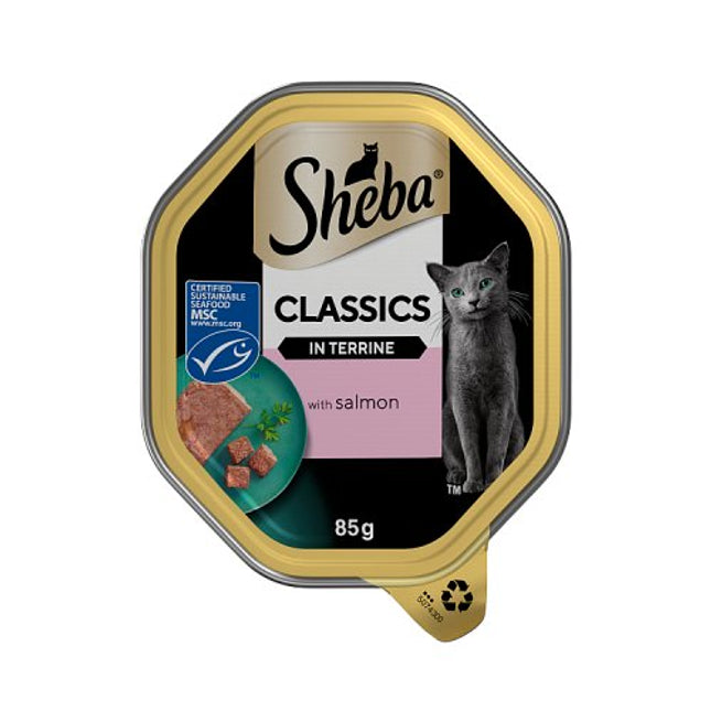 SHEBA Classics Cat Tray with Salmon in Terrine 85g