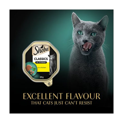 SHEBA Classics Cat Tray with Chicken in Terrine 85g
