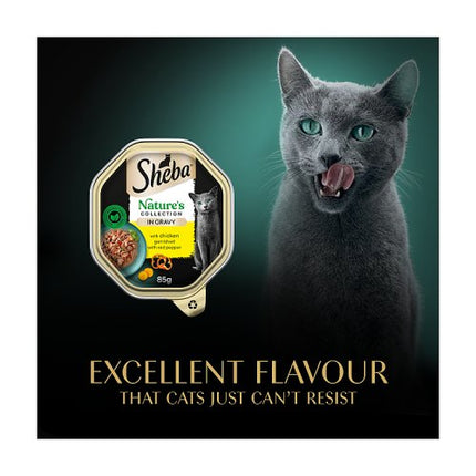 Sheba Natures Collection Cat Food Tray Chicken & Red Pepper in Gravy 85g