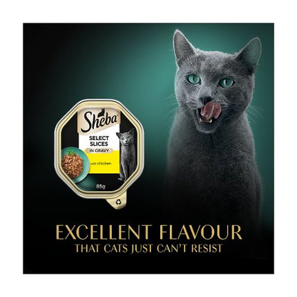 Sheba Select Slices Adult Tray Cat Food in Gravy with Chicken 85g
