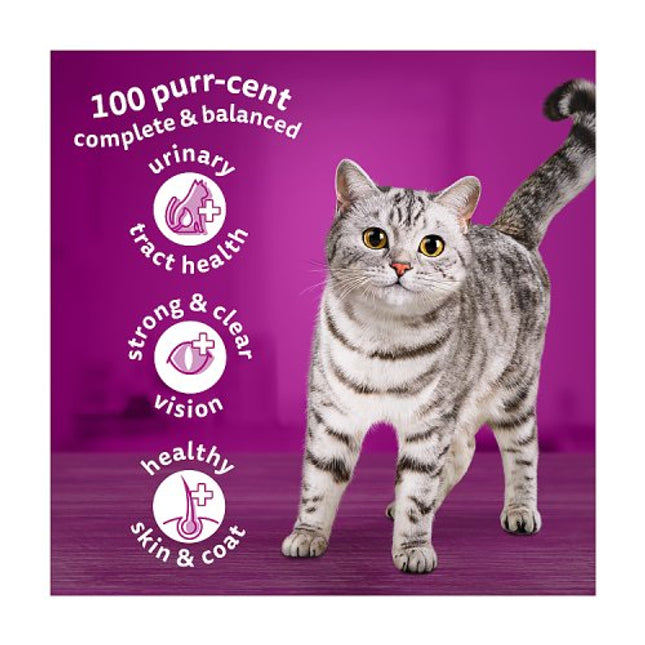 Whiskas Adult Cat Dry Food with Salmon 1+ 1.9kg