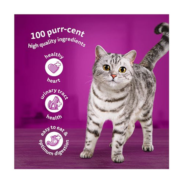 Whiskas 11+ Fish Favourites Senior Wet Cat Food Pouches in Jelly 12x85g