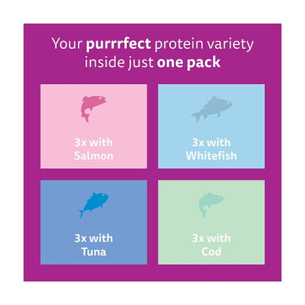Whiskas 2-12 Months Kitten Pouches Fish Favourites in Jelly 12x85g