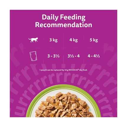 Whiskas 1+ Pouches Mixed Menu in Jelly 40x85g